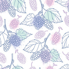 Vector Seamless Pattern With Outline Mulberry Or Morus Bunch With Berry And Leaf In Pastel Color On The White Background. Floral Pattern With Contour Mulberry Fruit For Summer Design.