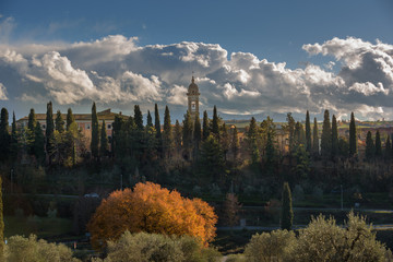 Wall Mural - Absolutely beautiful town in southern Tuscany, somewhere in the Val d'Orcia, San Quirico d'Orcia, Italy.