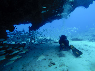 divers near a wall