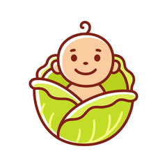 Wall Mural - Baby in cabbage