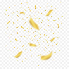 Poster - Golden flying confetti in different focus. Celebration gold ribbons. Festival decor with falling shiny glitters. Vector illustration.