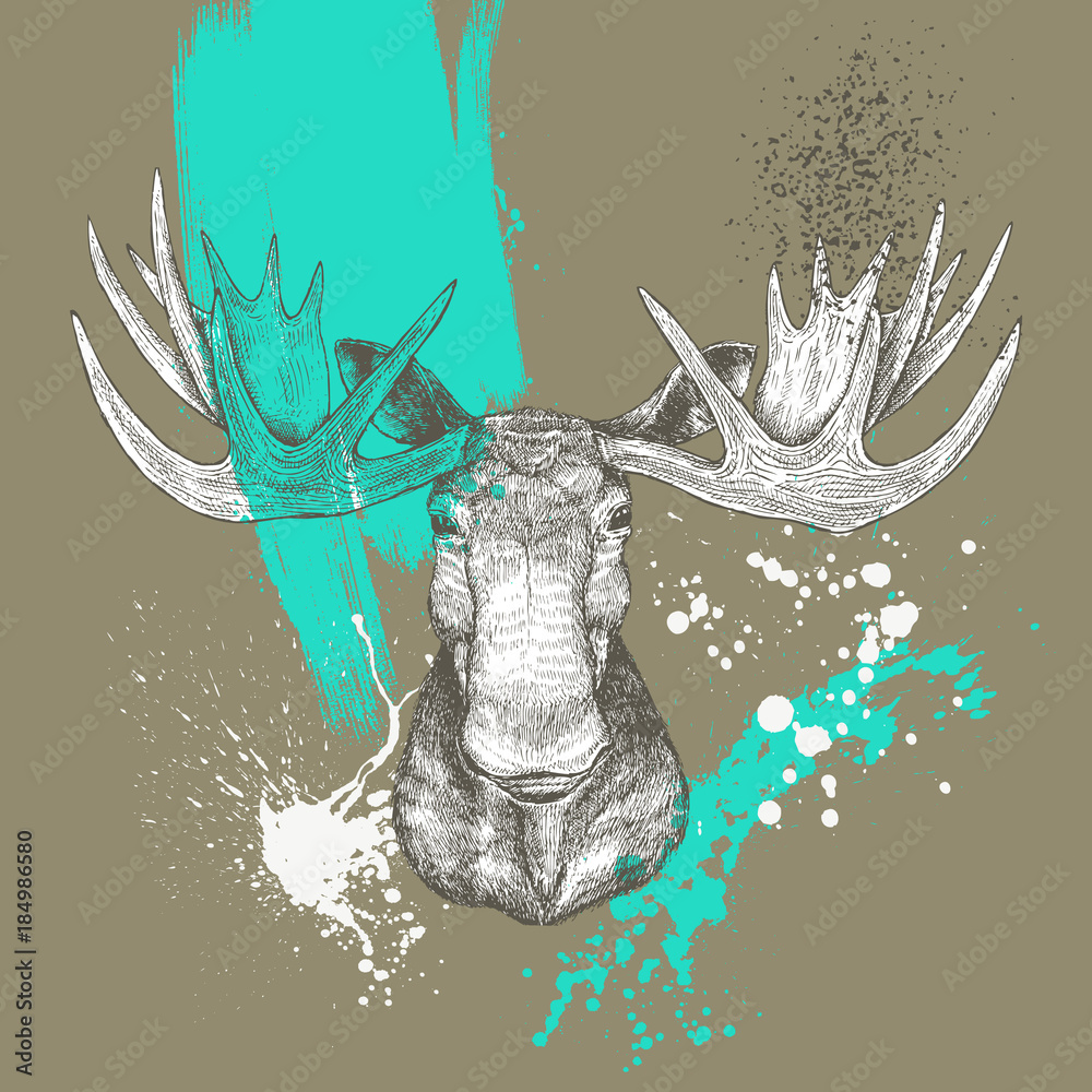 Hand drawn Moose head, Vector Stock Vector | Adobe Stock