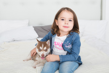 happy little girl lying on a bed and hugging with the puppy husky dog