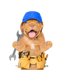 Poster - Funny dog worker in blue cap with tool belt and wrench. Isolated on white background