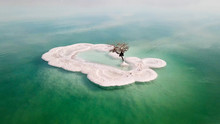 Aerial Image Of A Bare Tree On A Salt Deposit In The Dead Sea