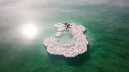 Wall Mural - Aerial image of a Bare tree on a salt deposit in the Dead Sea