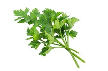 Parsley Isolated On A White Background