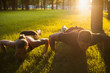 family outdoor sport together workout background concept. pair training. sportsman spouses lifestyle.