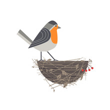 Cute Robin Bird On Nest Icon. Fancy Cartoon Comic Style. Winter Birds Of City Garden, Backyard. Stylized Funny Animal Isolated. Element For Banner Background. Vector Design Of Wonderland Advertisement