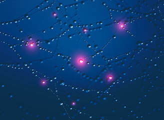 Wall Mural - big data concept