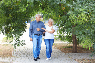 Wall Mural - Mature couple walking together in park