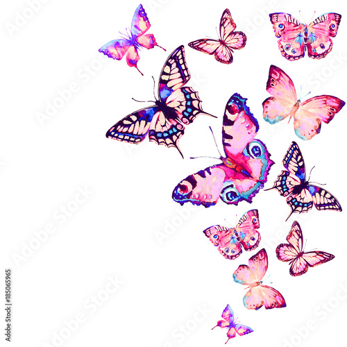 beautiful pink butterfly,watercolor,isolated on a white