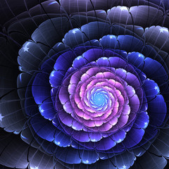 Wall Mural - dark fractal flower, digital artwork for creative graphic design