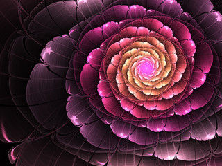 Wall Mural - purple fractal flower, digital artwork for creative graphic design
