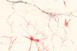neuron research exploding degenerating neuron nervous system research brain neurons 3d rendering