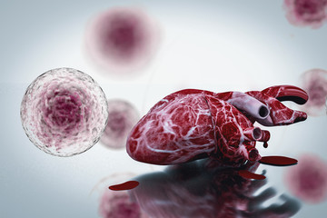 Wall Mural - Human Heart and stem cells concept heart disease and health healing 3d rendering