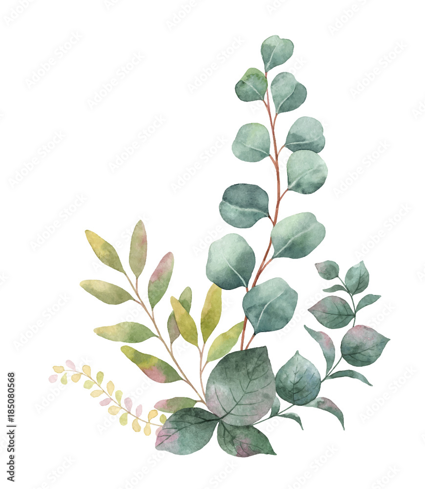 Watercolor vector bouquet with green eucalyptus leaves and branches ...