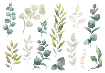 Wall Mural - Hand drawn vector watercolor set of herbs, wildflowers and spices.