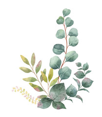 watercolor vector bouquet with green eucalyptus leaves and branches.