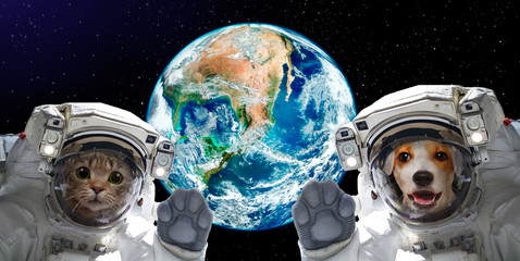 Wall Mural - portrait of a cat and dog astronauts on the background of the globe. elements of this image furnishe