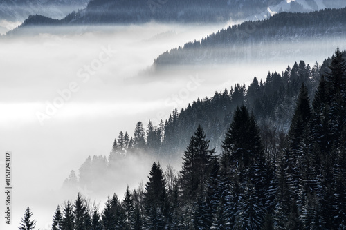 zalesiony-gorski-stok-w-nisko-lezacej-dolinie-mgly-z-sylwetkami-wiecznie-zielonych-drzew-iglastych-spowitych-mgla-sceniczny-sniezny-zima-krajobraz-w-alps-bavaria-niemcy