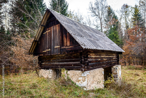 Abandoned Old Wooden House Cabin In The Woods In Slovenia Buy