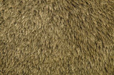 Poster - Texture of artificial wool.
