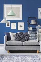 Wall Mural - Close-up of gray couch