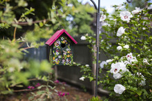 Painted Birdhouse Hanging In Yard Amidst Plants