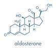 © molekuul.be - Aldosterone mineralocorticoid hormone, produced by the adrenal gland. Skeletal formula.