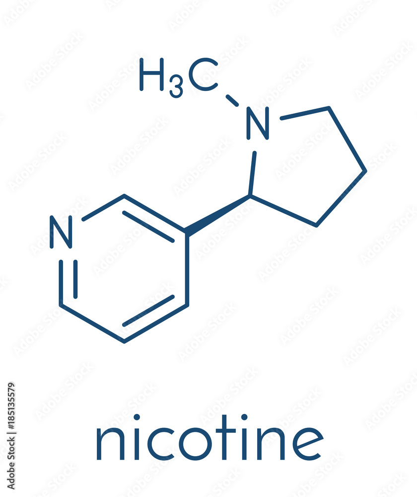 cigarette smoke chemical composition Nicotine tobacco stimulant molecule. Main addictive component in cigarette  smoke. Skeletal formula. Stock Vector
