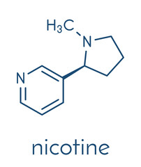 Sticker - Nicotine tobacco stimulant molecule. Main addictive component in cigarette smoke. Skeletal formula.