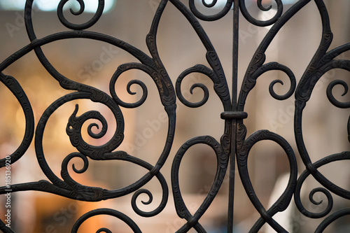 Fotomural Decorative Metal Gate Texture