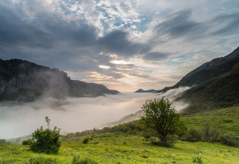  The fog advances through Saliencia Valley, Asturias
