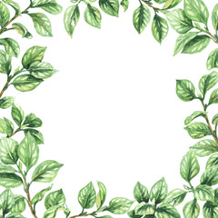 Wall Mural - Green Branches Square Frame
