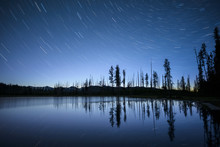 Majestic View Of Trees By Lake Against Star Trails During Night