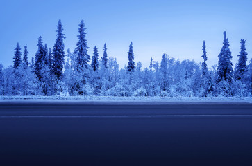 Wall Mural - road in winter forest