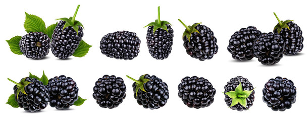 Wall Mural - Fresh blackberry isolated on white background with clipping path