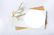 Gałązka na białej i szarej kartce ze śniegiem.