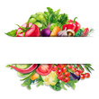Watercolor Vegetables Banner