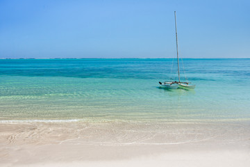 Sticker - Hobie cat in the lagoon