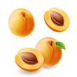 Apricots with leaf and half apricot realistic fruit set. Vecctor