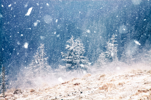Christmas Background Images Winter Wonderland - Largest Wallpaper Portal