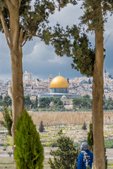 Wall Mural - Dome of rocks between trees with a viewer