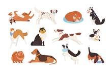 Collection Of Funny Dogs Of Various Breeds Playing, Sleeping, Lying, Sitting. Set Of Cute And Amusing Cartoon Pet Animals Isolated On White Background. Colorful Vector Illustration In Flat Style.