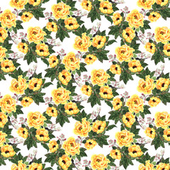 Wall Mural - yellow roses