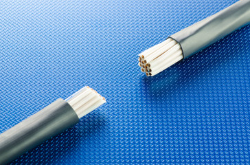 The cross section of two control cables
