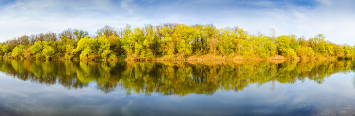 Picturesque forest and the river