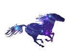 Fototapeta Konie - Horse logo with universe inside silhouette. Vector illustration.