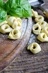 Wall Mural - Freshly prepared Italian tortellini